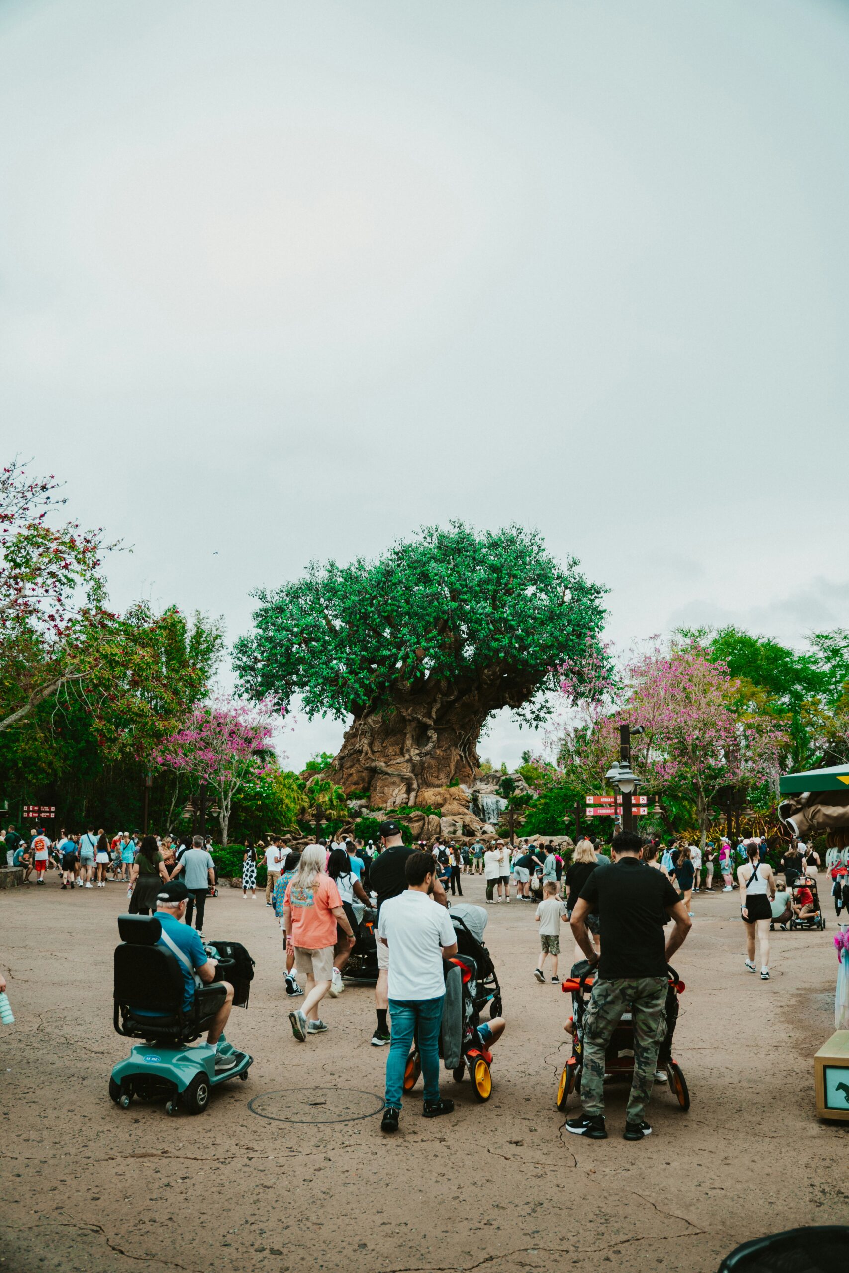 people with pushchairs tree of life background grey sky